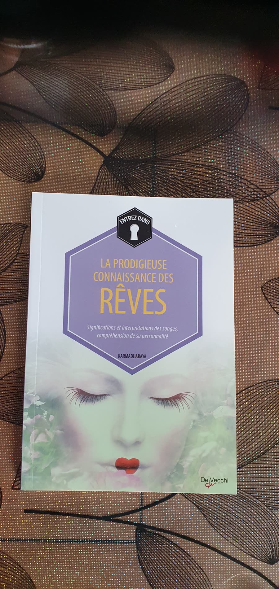 Couverture — La prodigieuse connaissance des rêves